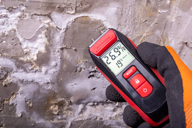 Best Mold Damage Repair  in Stuarts Draft, VA