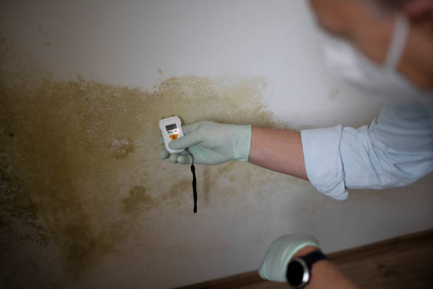 Best Crawl Space Mold Removal  in Stuarts Draft, VA